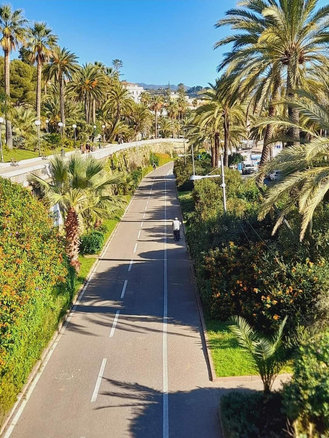 Casa Vacanze Il Girasole סנרמו מראה חיצוני תמונה